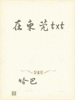 在东莞txt