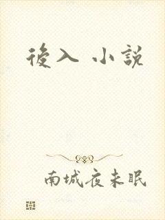 后入 小说
