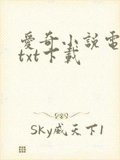 爱奇小说电子书txt下载