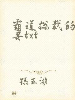 霸道总裁的挂名妻txt