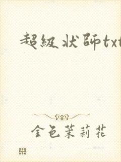 超级状师txt