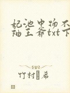 妃池中物不嫁断袖王爷txt下载