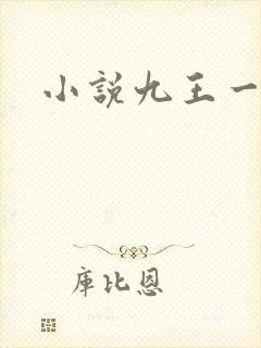 小说九王一后
