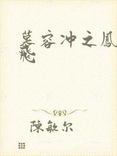 慕容冲之凤凰于飞