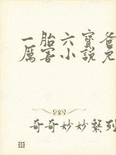 一胎六宝爸比好厉害小说免费阅读