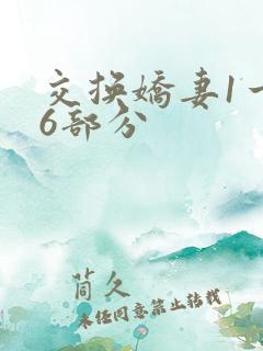 交换娇妻1一36部分