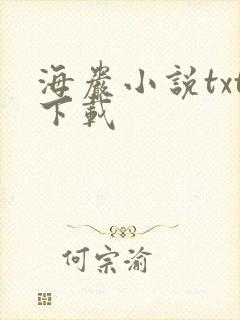 海岩小说txt下载