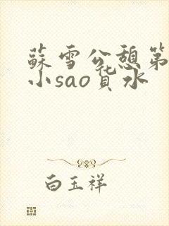 苏雪公憩第一章小sao货水