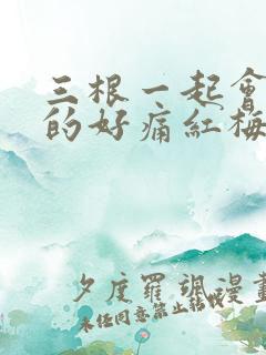 三根一起会坏掉的好痛红梅