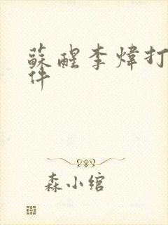 苏醒李炜打架事件