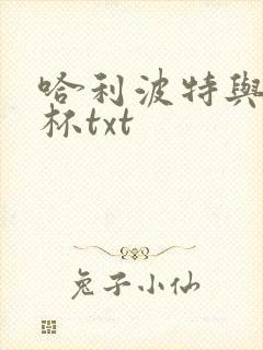 哈利波特与火焰杯txt