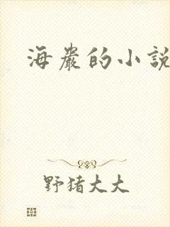 海岩的小说