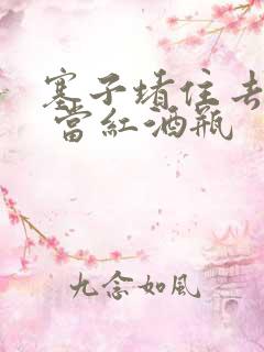 塞子堵住去上学 当红酒瓶