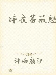 暗夜蔷薇魅