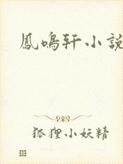 凤鸣轩小说