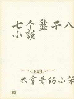 七个盘子八个碗小说