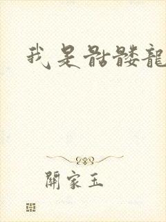 我是骷髅龙骑兵