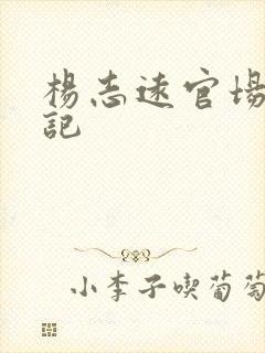 杨志远官场飙升记