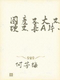 国产又大又粗又硬又长A片小说