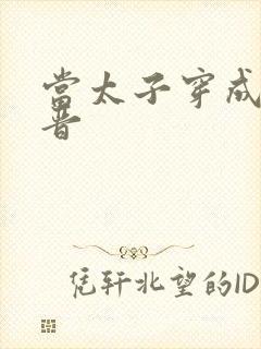 当太子穿成大福晋