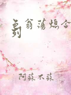 色翁荡熄合集系列