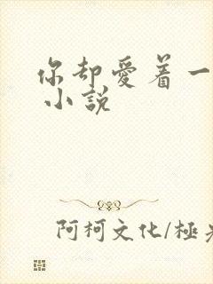 你却爱着一个他 小说