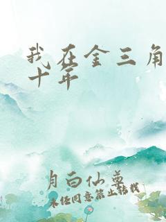 我在金三角卧底十年