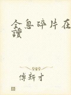 全息碎片在线阅读