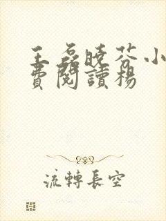 王磊晓芬小说免费阅读杨