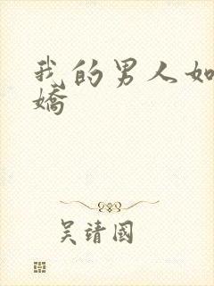 我的男人如此多娇