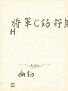 将军C的舒服么H