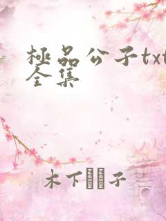 极品公子txt全集