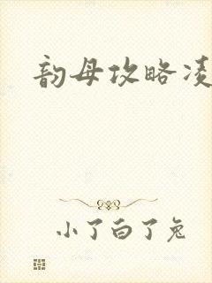 韵母攻略凌小东