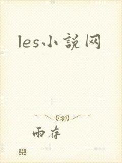 les小说网