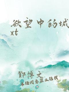 欲望中的城市txt