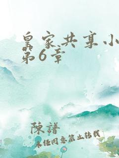 皇家共享小公主第6章