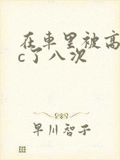 在车里被高潮被c了八次