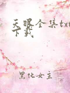 天眼全集txt下载