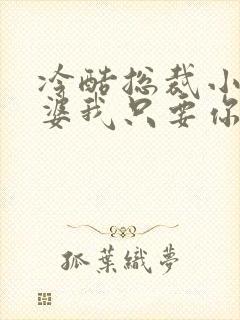 冷酷总裁小小老婆我只要你