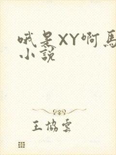 哦是XY啊马仔小说