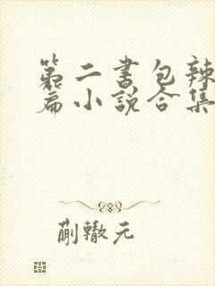 第二书包辣网短篇小说合集