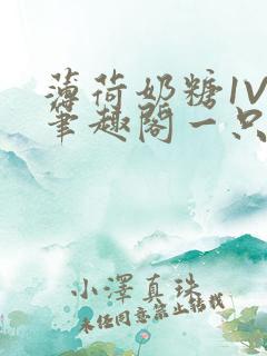 薄荷奶糖1V2笔趣阁一只豆苗