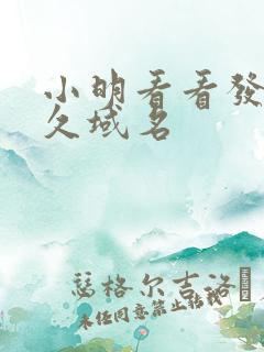 小明看看发布永久域名