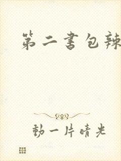 第二书包辣文