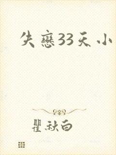 失恋33天小说