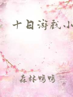 十日游戏小说