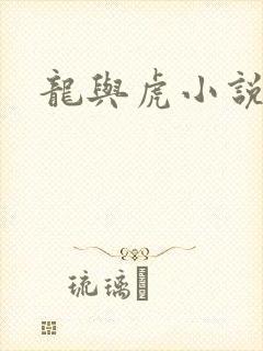 龙与虎小说