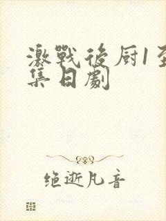 激战后厨1至5集日剧