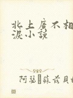 北上广不相信眼泪小说