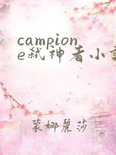 campione弑神者小说